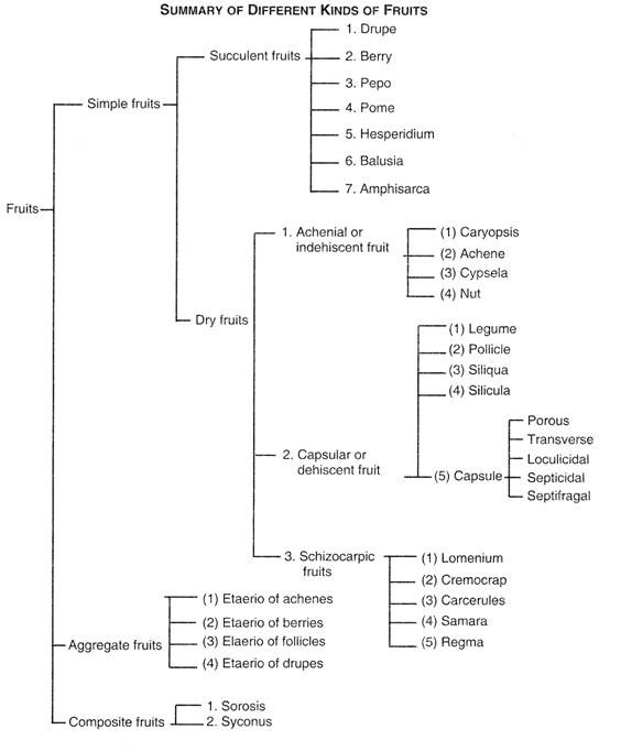 statistics help for dissertation.jpg