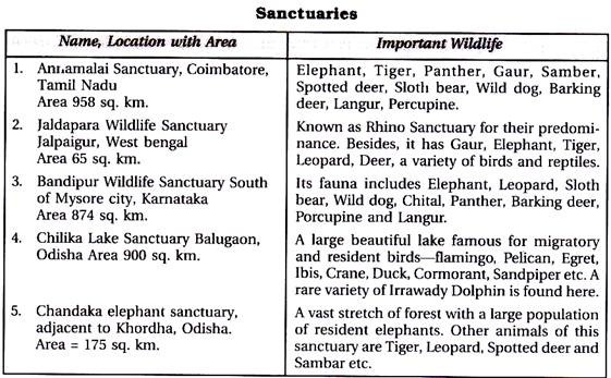 ?wildlife conservation essay sample