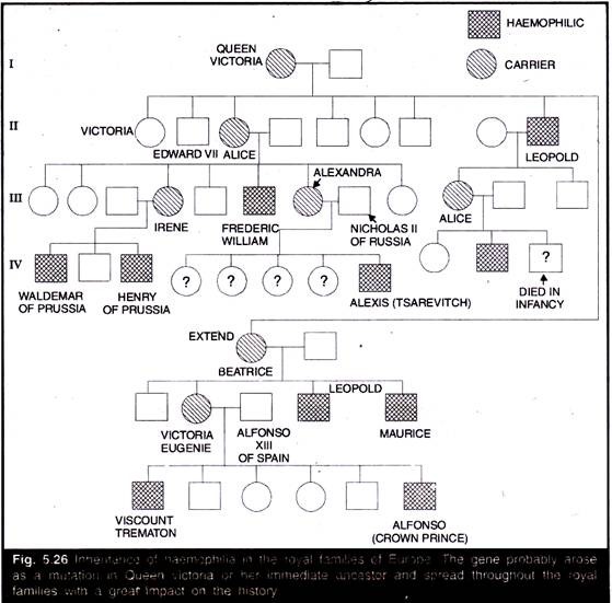 Color Blindness Hereditary Chart