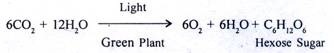 What is anabolic process in photosynthesis
