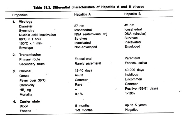 Essay on hepatitis b