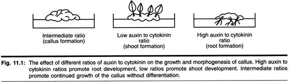 Exchange of Gases in Some Organisms