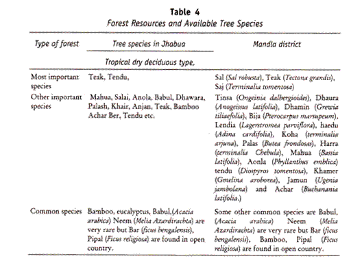 Forest Resources and Available Tree Species