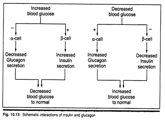 Tree Diversity and Uses of Forests