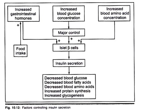 (i) Types of Leaves (ii) Monocot and dicot leaves