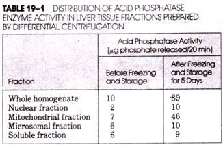 Distribution of Acid Phosphatase Enzyme Activity in Liver Tissue Fractions prepared by differential Centrifugation