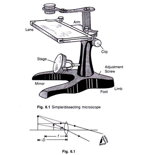 Simple /dissecting microscope