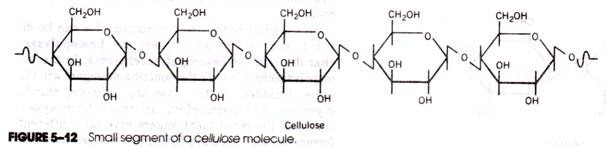 Small segment of a cellulose molecule