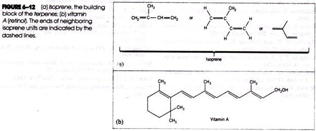(a) Isoprene, the building block of the terpenes; (b) vitamin a (retinol) 