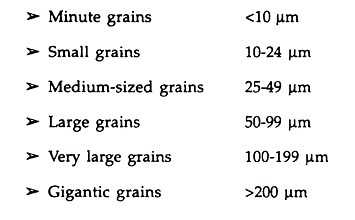 Schematic represention of position of different meristems