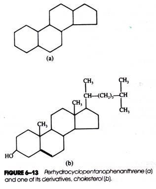 Perhydrocyclopenophenanthrene (a) and one of its derivatives, cholesterol (b)