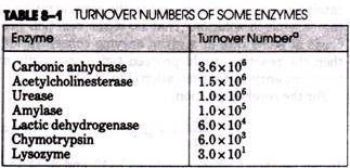 Turnover numbers of some enzymes