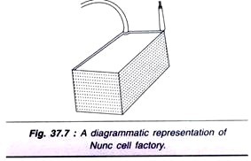 The Hydrophabic side chains of amino acids such as leu, ile, val, and phe interact with each other internally in the protein or in clefts at the protein's surface