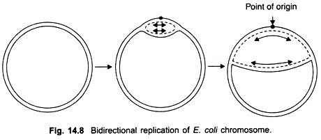 A typical thermal denaturation curve for DNA showing the hyperchromic effect and the evalution of the T of the nucleic acid