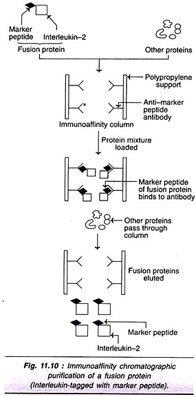 Some Permeability Constants