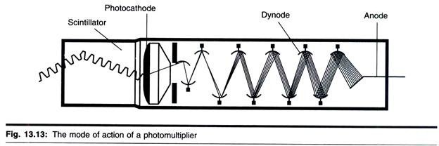 Orthodox and Condensed Conformational States of Mitochondria