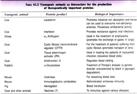 Origin of T and B lymphocytes