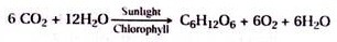 Formation of antigen antibody complexes