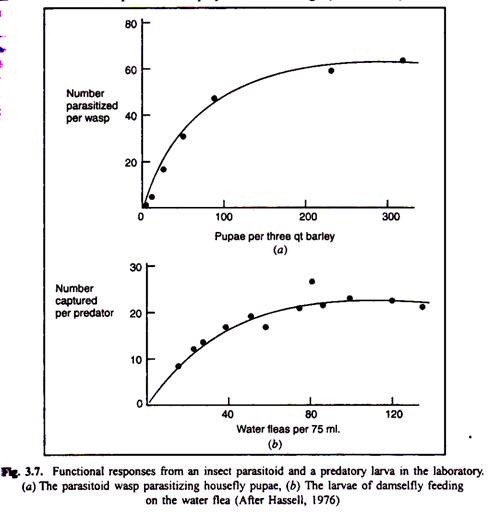 Functional Responses from an insect parasitoid and a predatory larva in the laboratory