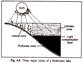 Three major zones of a freshwater lake