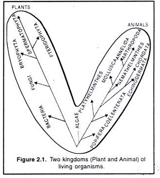 Two Kingdoms (Plant and Animal) of Living Organisms