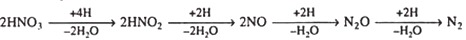 Cleavage cytokinesis in an animal cell