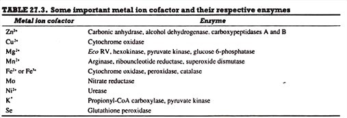 Embryo formation in capsella