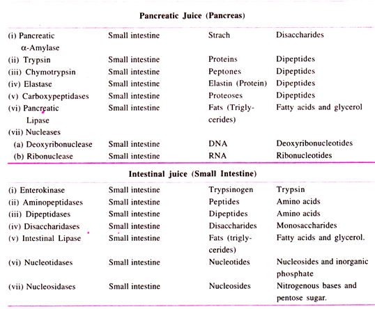 Normal and polytene chromosomes of drosophila melanogaster