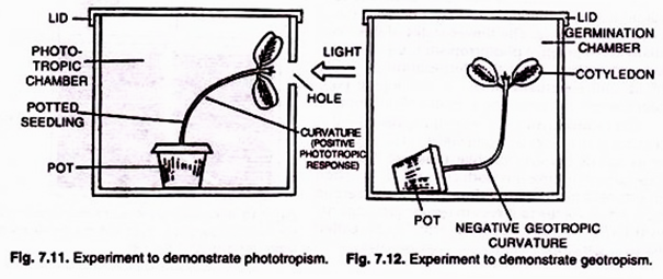 X-ray diffraction photgraphy of a DNA