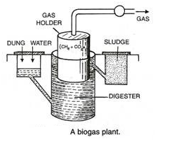 Name of Biosphere reserver in India