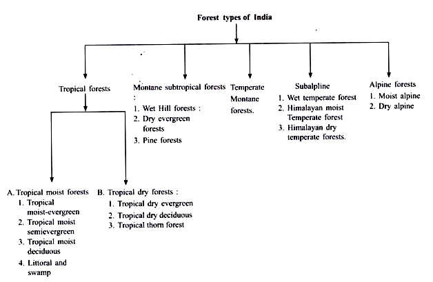 Forest Types of India