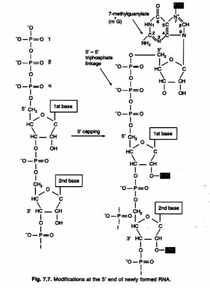 Different components of ecosystem