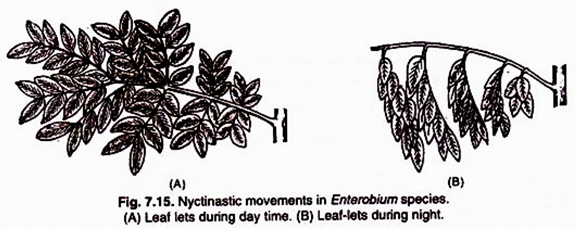 (a) A Grassland Ecosystem Showing Upright-Triangular (b) Inverted Pyramid of Biomass of an Aquatic Ecosystem