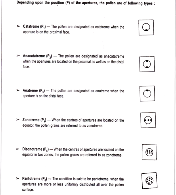 Quadrat Sampling Method for Population Estimation 