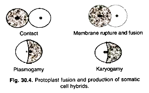 Soil Water