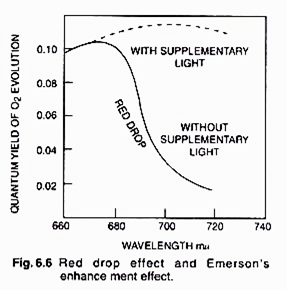 Soil Degradation (in Million ha) in India