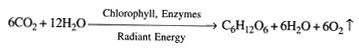 Influence of Agitation on Parameters on Bam HI Production