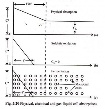 Physical, Chemical and Gas-Liquid-Cell Absorptions