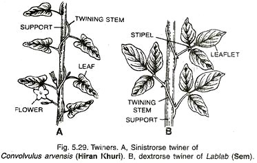 Purposes of Biological Treatment