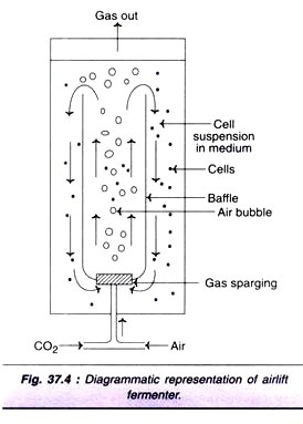 Purification of Enzymes