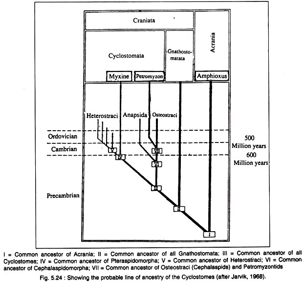 Growth Cellulase Yield and Amplitude of Ø (t) in Relation to pH-Cycling Limits