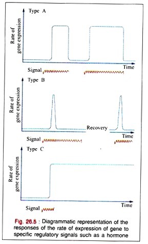 Manton-Gaulin Homogenizer Operated as a Continuous System