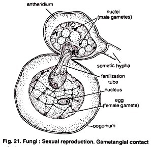 Simple Schematic of Two Phase Digestion (Anaerobic)