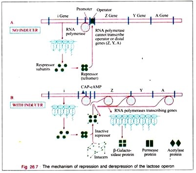 A Typical Process Design Information