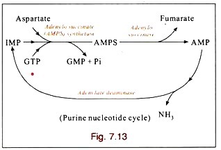 Effect of Temperature on Cell Mass and Cellulase Production without PH Cycling