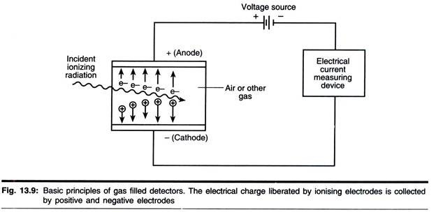 Optimum Temperature Conditions at Different Ages in Cellulase Production by T.Reesei