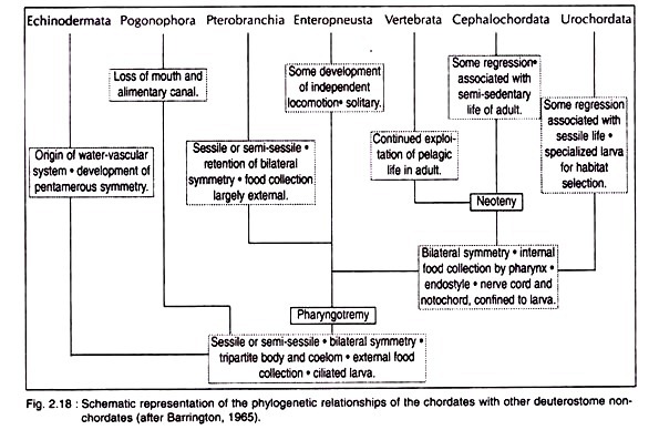 Non-Conventional Routes of Bioprocessing of Coal to Liquid and Gaseous Fuels and Chemicals