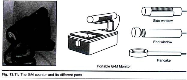 A Representation of Plant Cell Culture/Product Manufacturing Process