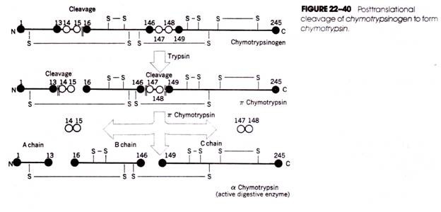 Biological Composition of Settled and Filtered Composite Tannery Waste