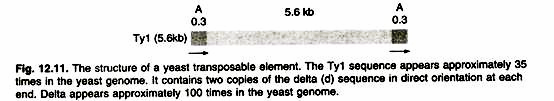  The Solids Concentration and BOD Content of Fermentation Wastes